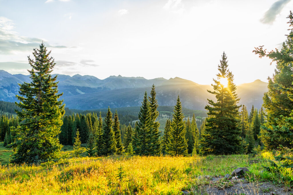 5 things you may not know about NCF Rocky Mountains